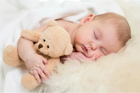 Free download wallpaper Teddy Bear, Sleeping, Cute, Photography, Baby on yo...