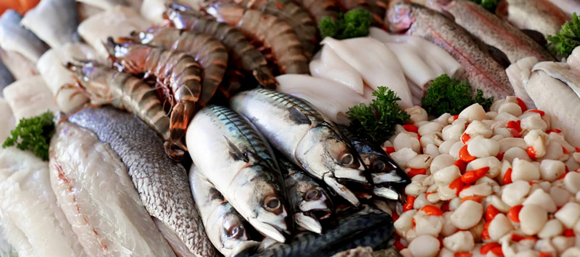 К чему снится много свежей рыбы женщине. Рыбные продукты. Рыба в ассортименте. Рыба продукт. Свежие морепродукты.