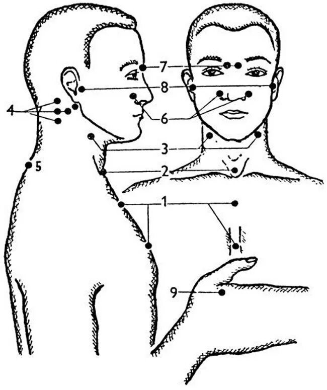 Массаж при орви. Точечный массаж Уманской схема. Акупунктурные точки на теле человека схема для массажа. Биологически активные точки Уманской. Точечный самомассаж Уманская 1 точка.