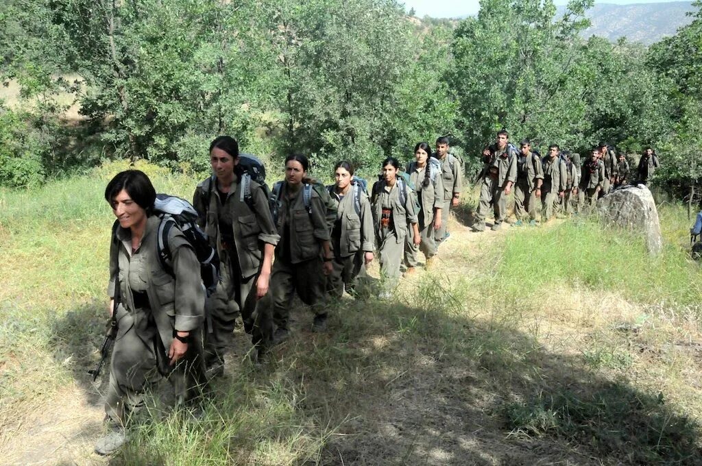 Pkk search