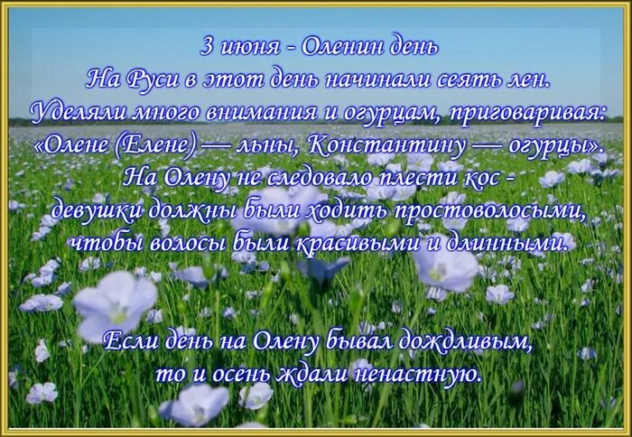 3 Июня народный календарь. Оленин день 3 июня. Народный календарь Оленин день. Народные приметы на 3 июня. Приметы на 3 апреля 2024 года