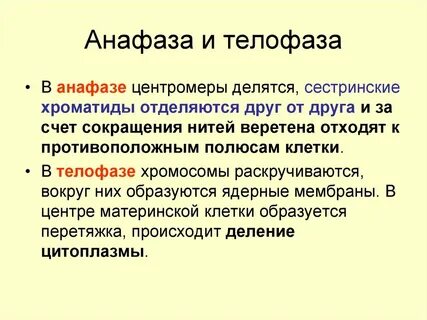 Для анафазы 1 мейоза характерно