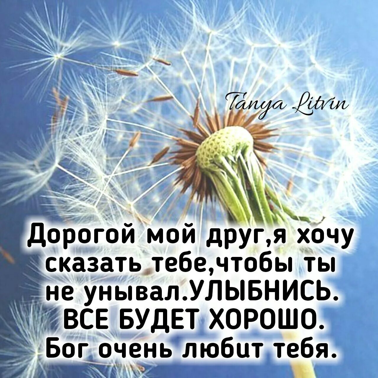 Братик не унывай найдешь. Пожелания не падать духом. Открытка не падай духом всё будет хорошо. Желаю не падать духом. Открытка не падайте духом.