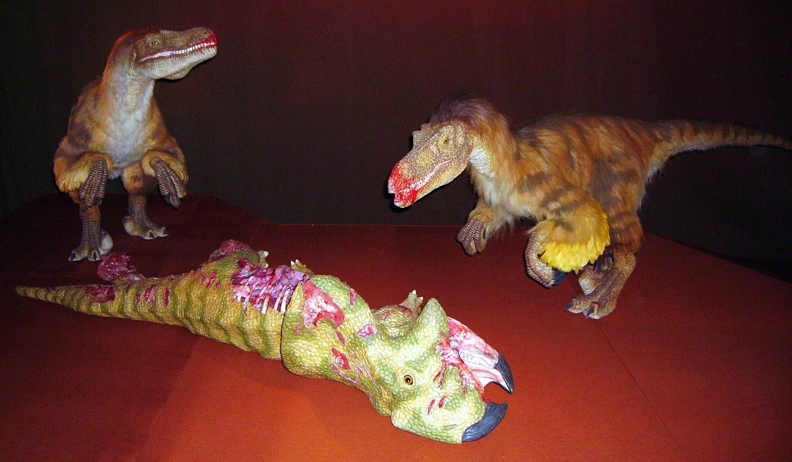 Динозавры 8 лет. Дейноних динозавр. Велоцераптор. Дейноних игрушка. Протоцератопс динозавр.