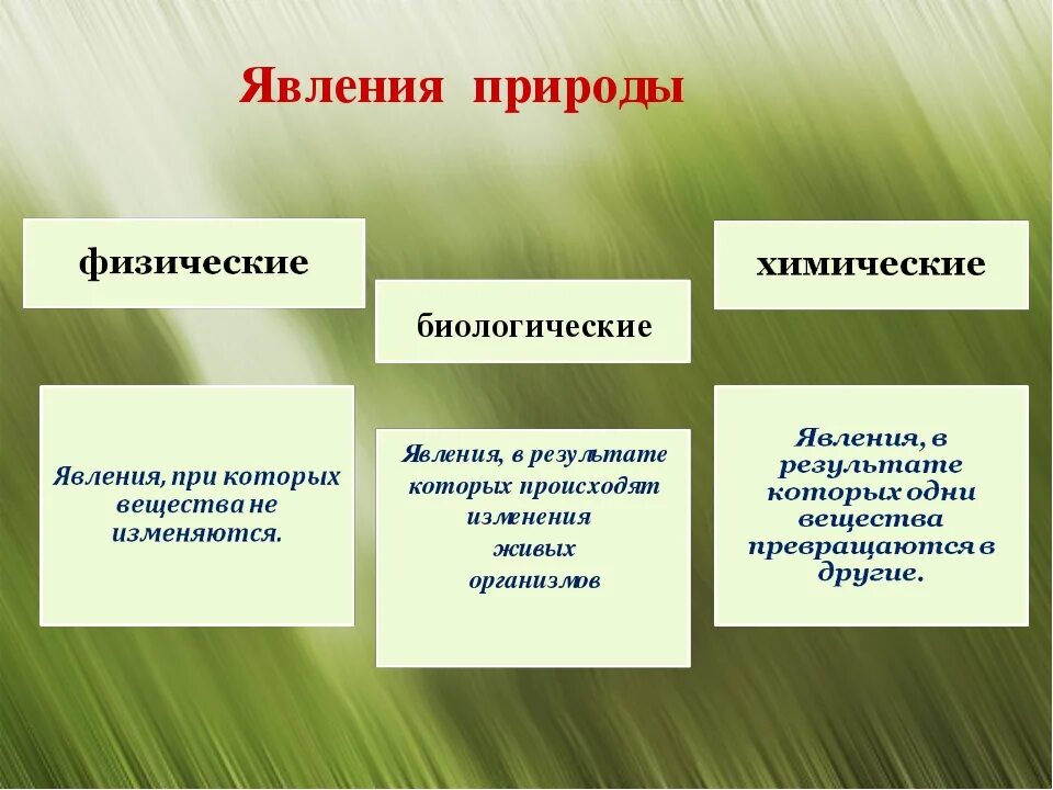 Какие явления можно наблюдать в живой природе. Физические химические и биологические явления. Биологические явления природы. Физические и биологические явления природы. Биологические явления примеры.