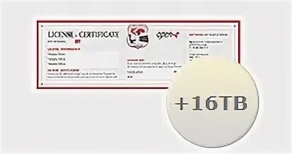 E license