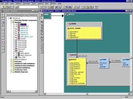 Oracle case