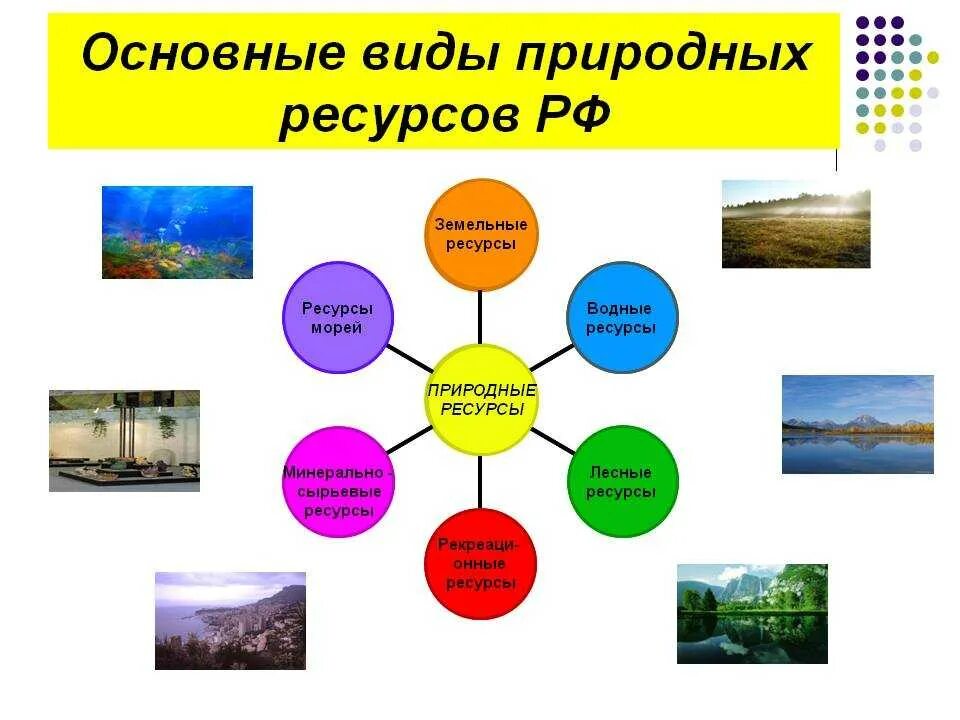 Природные компоненты россии география 8 класс. Какими природными ресурсами богата Россия. Виды природных ресурсов. Основные виды природных ресурсов. Виды природных ресурсов России.