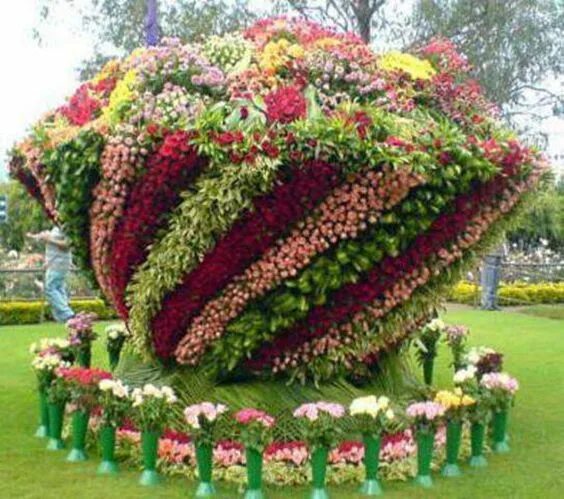 Dubai Miracle Garden-The most Attractive Garden in the World Beautiful flowers g