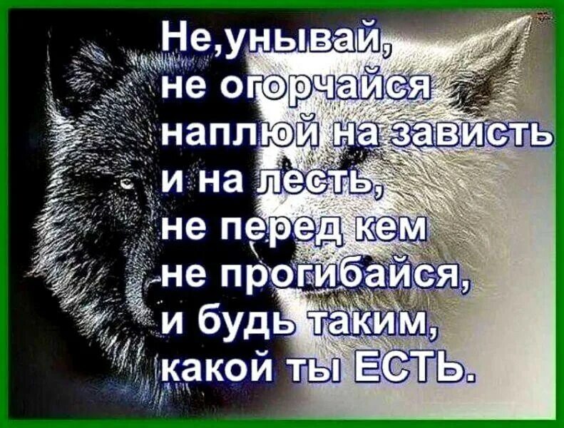 Никогда не унывающий человек 6 букв. Не унывай цитаты. Никогда не падай духом цитаты. Пожелания не падать духом. Стихи не падать духом.