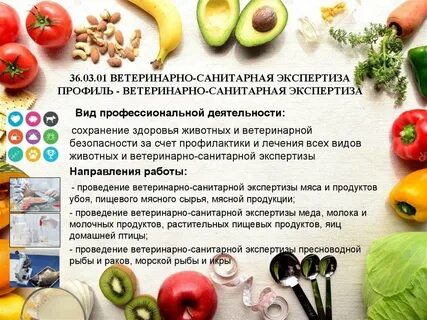 В каких случаях проводится ветеринарно санитарная экспертиза