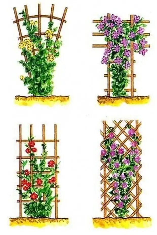 Как закрепить розы