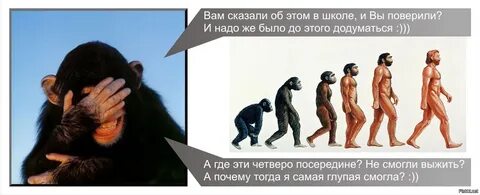 Почему человечество существует