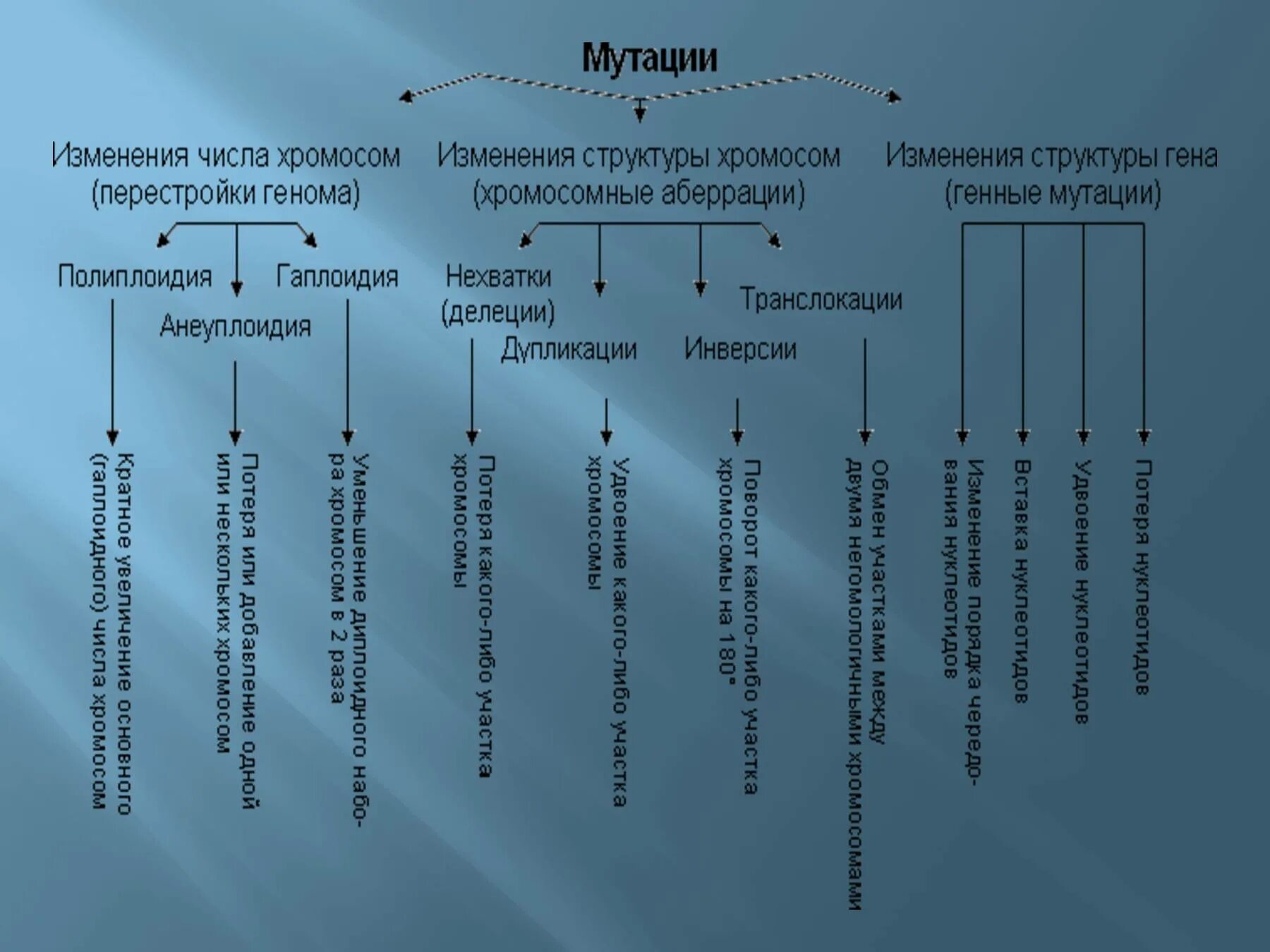 Мутации презентация. Классификация мутаций. Презентация мутации 10 класс. Изменение количества генов