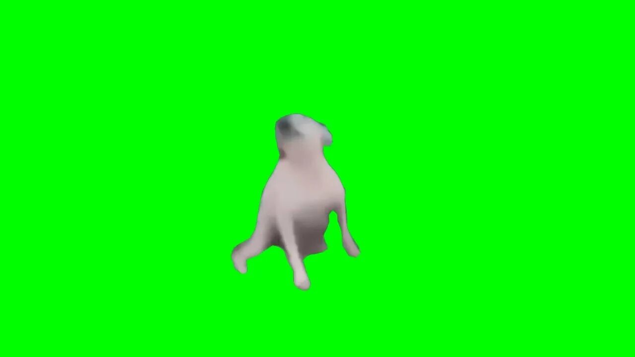 Кот хромакей видео