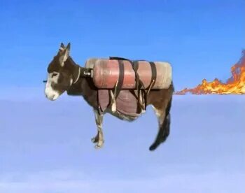 Оксана Почепа, порно видеолардағы акула