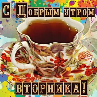 Доброе утро вторника лета