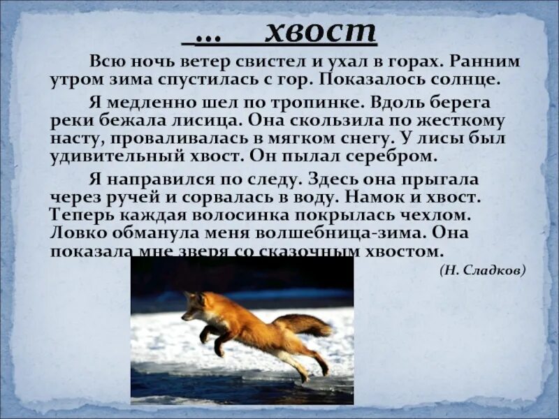 Всю ночь ветер свистел и ухал в горах. Изложение серебряный хвост. Серебряный хвост текст 4 класс. Серебряный хвост изложение 4 класс.