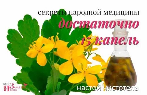 Сок чистотела прием внутрь