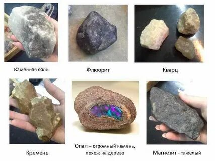 Камни кремень известняк