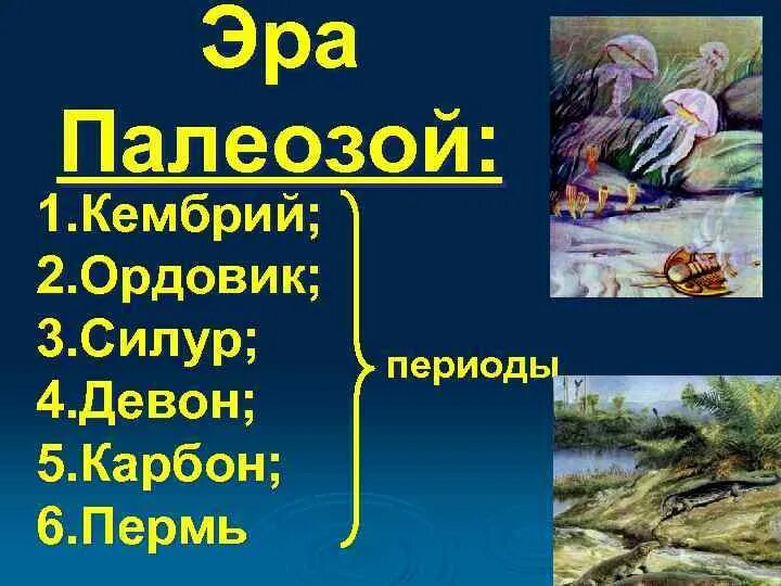 Охарактеризуйте эволюцию животных в палеозойскую
