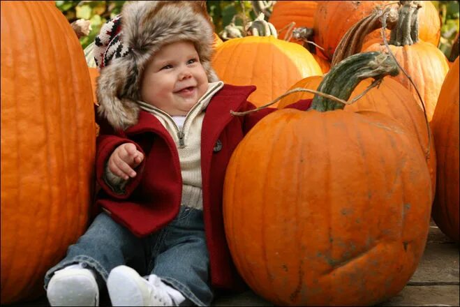 Тыква ребенку 8 месяцев. Тыква для прикорма грудничка. Младенец в тыкве. Аллергия на тыкву у ребенка. Ребенок ест тыкву.