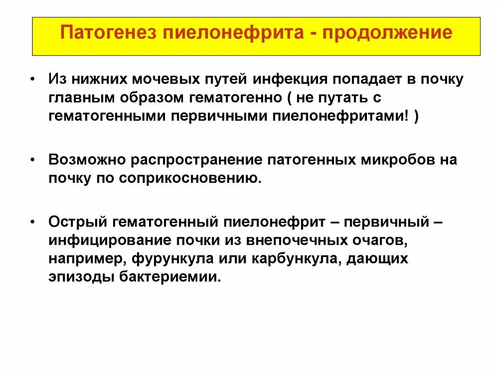 Пиелонефрит причины меры профилактики. Патогенезптелонефрита. Патогенез пиелонефрита. Пиелонефрит этиология. Хронический пиелонефрит патогенез.