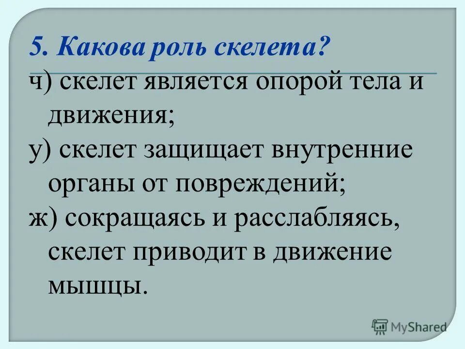 Какова роль чести. Какова роль скелета человека. 5 Какова роль скелета. Какова роль скелета человека 4 класс. Скелет защищает внутренние органы от повреждений.