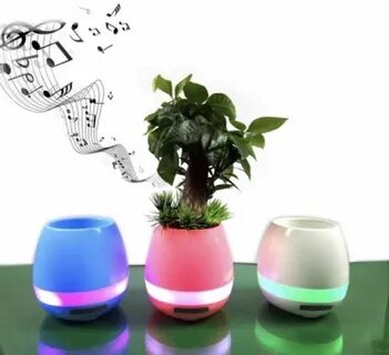 Plant music