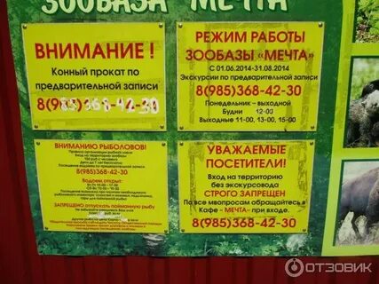 Расписание мамонтово ногинск