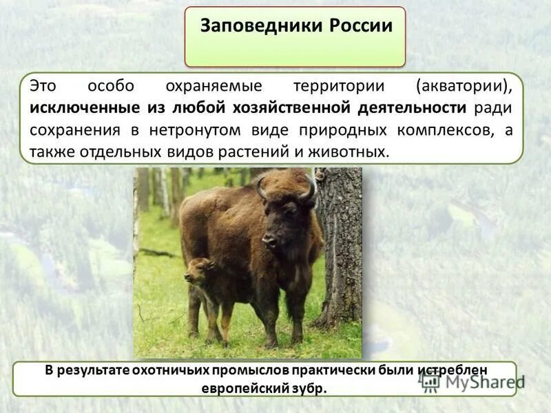 охрана природы и охраняемые территории.