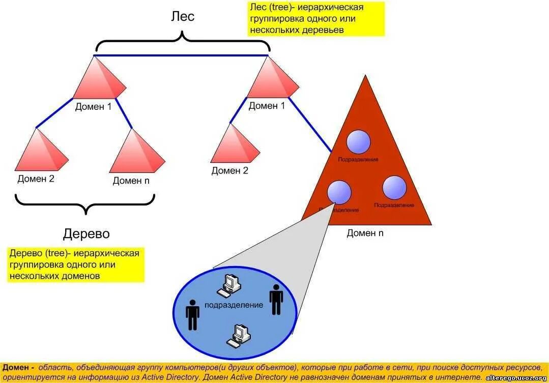 Актив домен. Лес доменов Active Directory. Логическая структура Active Directory. Домен, лес и дерево Active Directory схема. Структура каталога Active Directory.