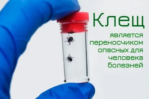 Лаборатория клеща на анализ
