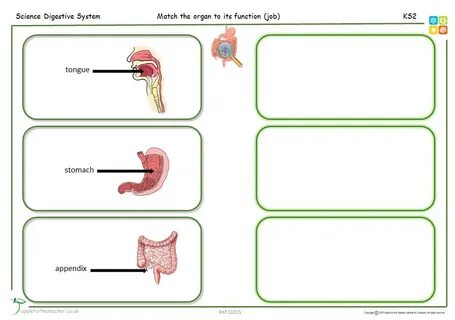 Match systems