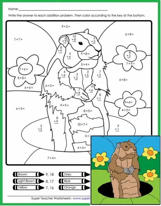 Groundhog Worksheet. Groundhog Colour by numbers. Groundhog Day Worksheets for Kids. Groundhog Day Worksheets. Worksheet teachers