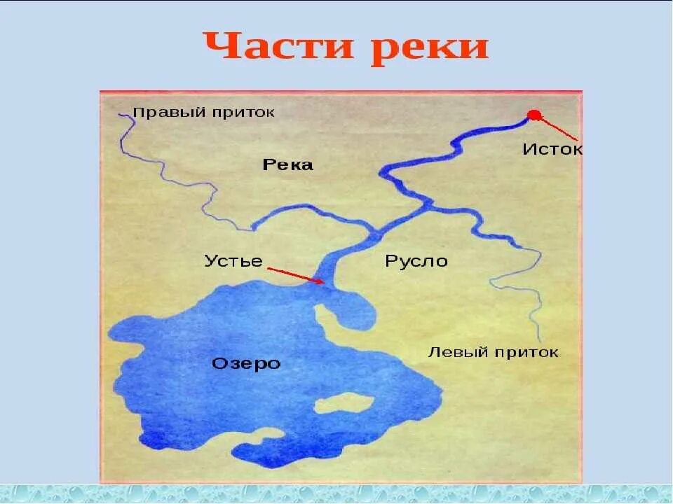 Река Дон Исток и Устье. Схема реки Воронеж Истоки, притоки, Устье. Части реки Дон схема. Река Дон Исток и Устье на карте.