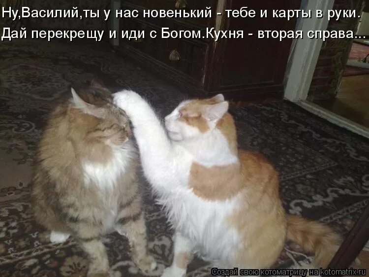 Он где то шляется с другой песня