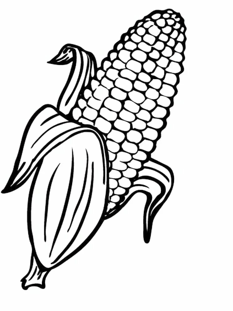 Corn kidz. Кукуруза раскраска для детей. Кукуруза картинка для детей раскраска. Початок кукурузы раскраска. Кукурузный початок.
