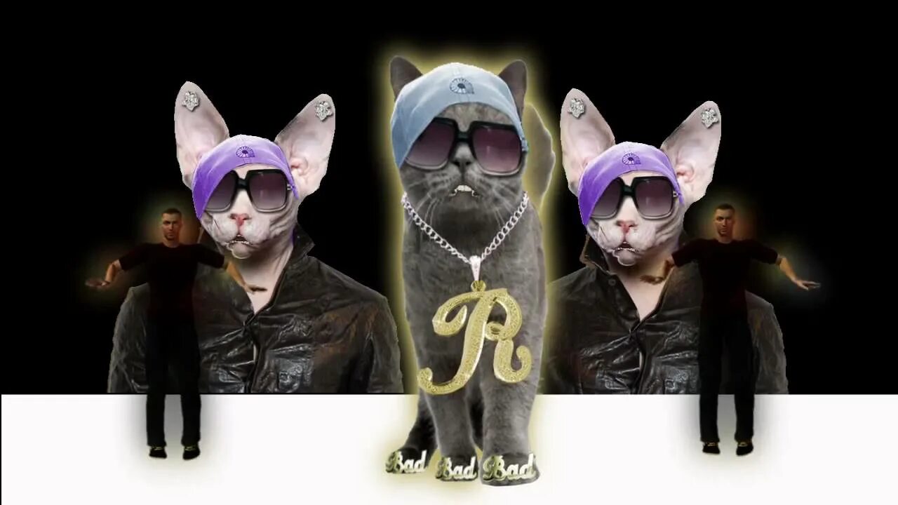 Кот репер. Коты рэперы. кот рэпер мем. коты rap.