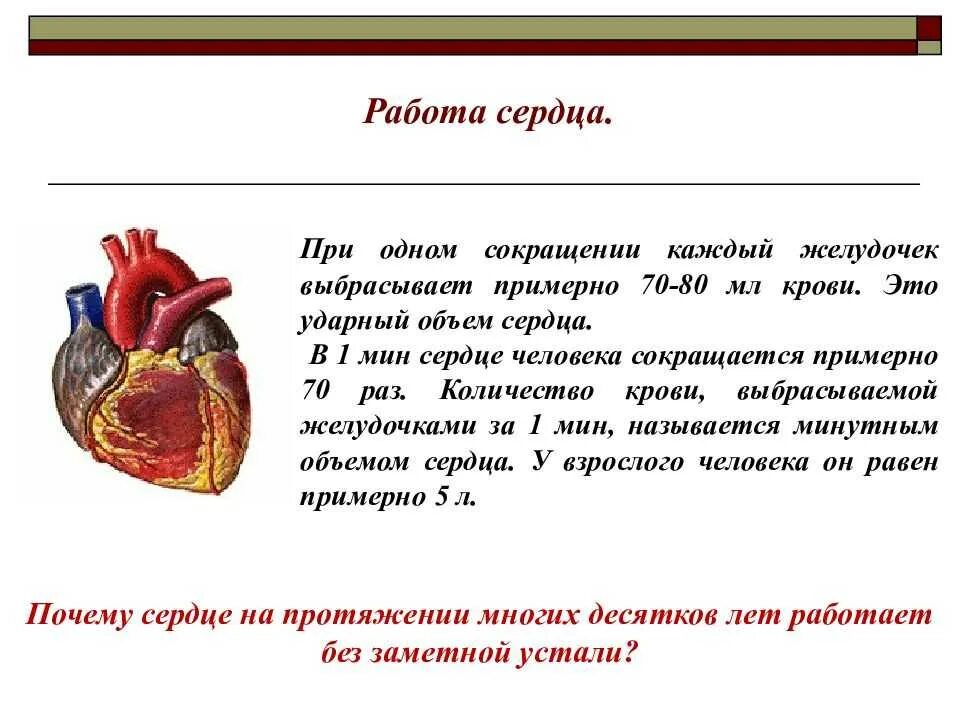 Сердце кровь сколько литров. Сердце работа сердца. Строение и работа сердца. Работа сердца презентация. «Работа сердца» презинтация.