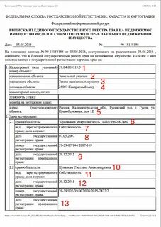 Сколько действует выписка
