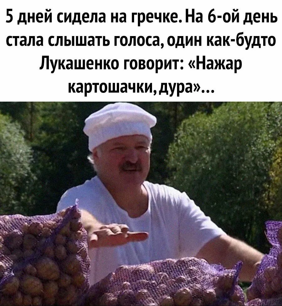Приколы дня в картинках с надписями. Приколы на картинках с текстом. приколы из жизни людей с надписями. шутки в картинках с надписями. смешной юмор в картинках с надписями.