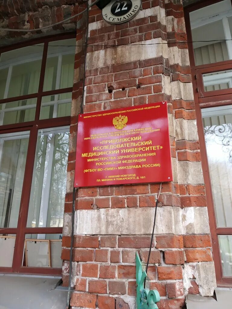 Пиму нижний новгород семашко 22. Пиму нижний новгород семашко 22. Институт педиатрии нижний новгород. Нижний новгород семашко 22 пансионат. Пиму нижний новгород семашко 22.