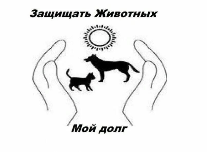 Игровая программа "В мире животных" 2023, Мишкинский район - дата и место провед