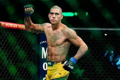 Ufc прохазка перейра