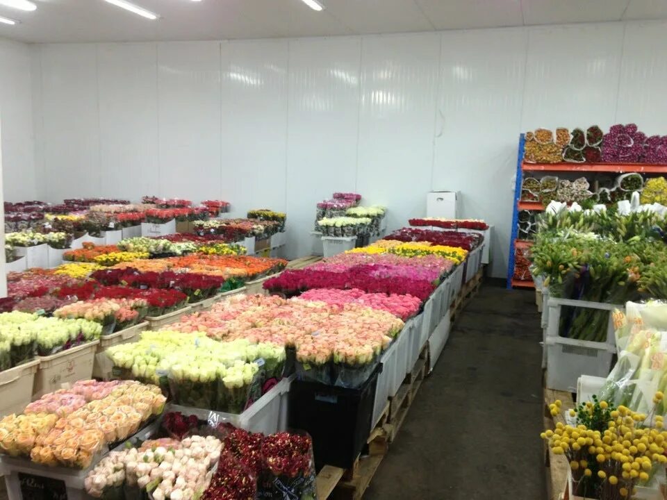 цветочный базар в бангкоке. оптовый рынок цветов. цветочные базы. оптовый склад цветов. опт и розница цветов.