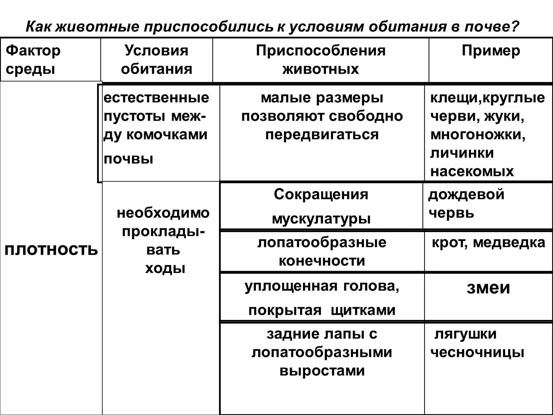 Приспособленность организмов к среде обитания почва. Приспособленность животных к почвенной среде обитания. Приспособление организмов к почвенной среде. Почвенная среда обитания приспособления организмов.