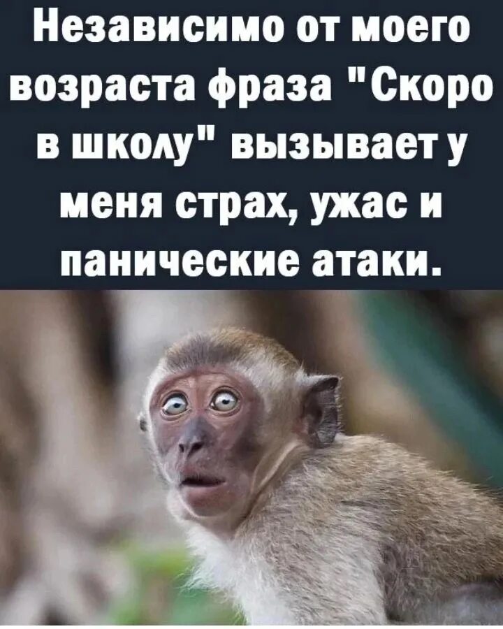 Если о вас говорят значит вы вызываете либо интерес. Мужчина изменяет. Человек в стрессе. Цитаты из федота стрельца. Тревожность личности.