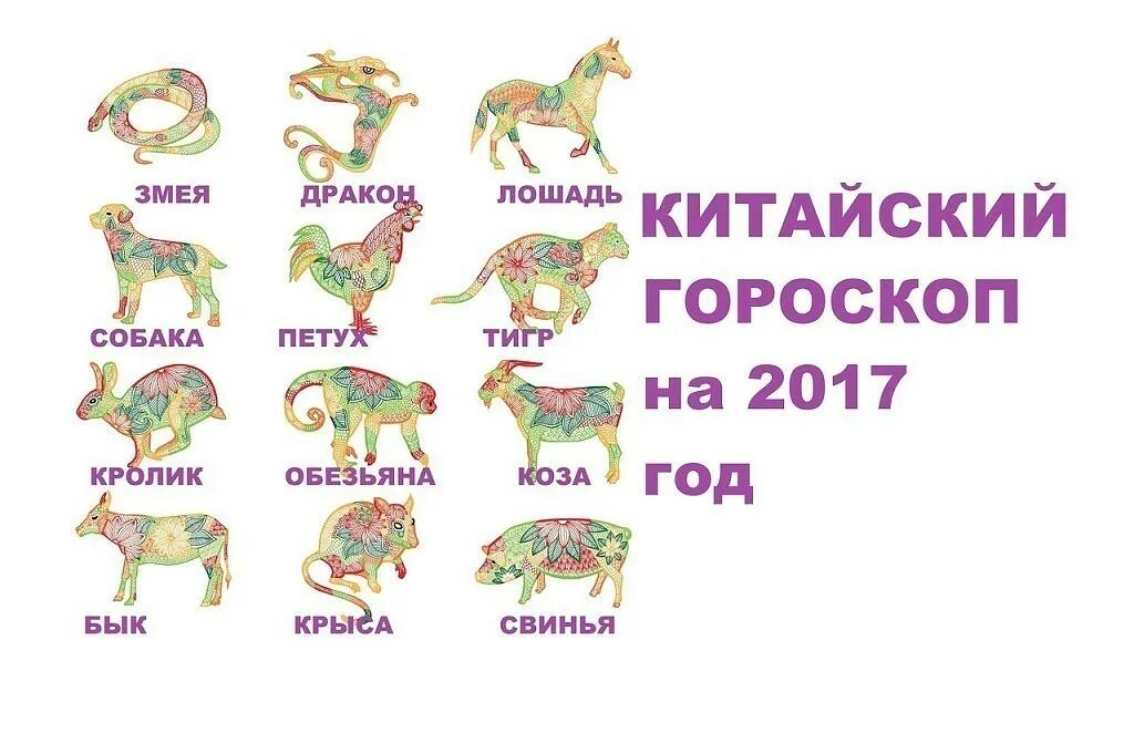 Гороскоп лошадь змея. Китайский гороскоп. Знаки зодиака по годам. Китайски йгороском. Знаки восточного гороскопа по годам.