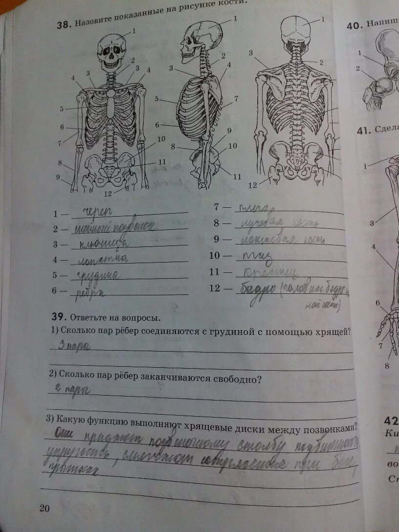 Биология 8 класс стр 189. Биология 8 класс Колесов д.в., маш р.д., Беляев. Биология 8 класс тетрадь. Рабочая тетрадь Колесов биология. Биология 8 класс задания.